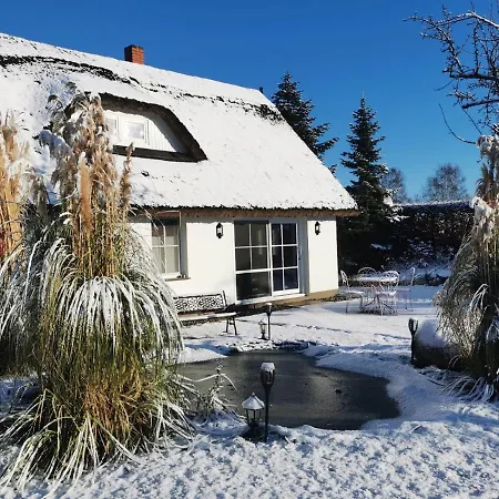 Reetferienhaus - Hafen *