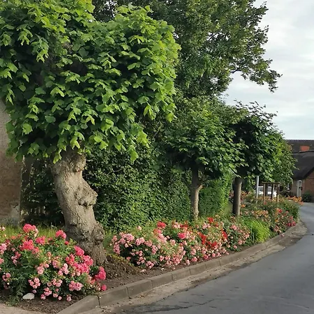Reetferienhaus - Hafen * Schaprode