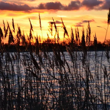 Reetferienhaus - Hafen Appartement *