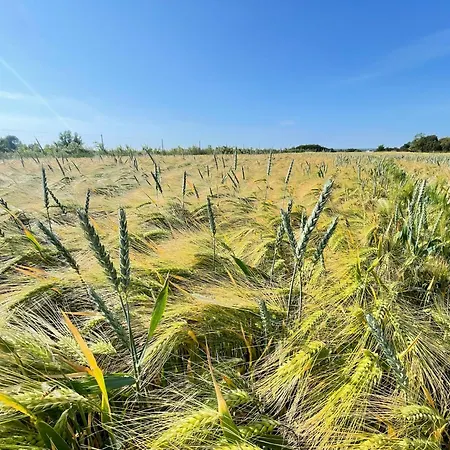Appartement Reetferienhaus - Hafen *