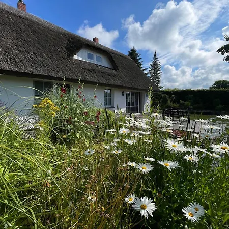 Reetferienhaus - Hafen Lägenhet