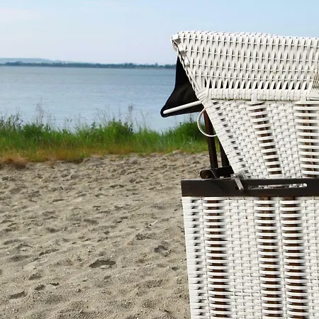 Reetferienhaus - Hafen *